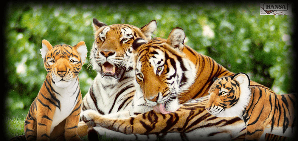 Tigri grandezza naturale famiglia
